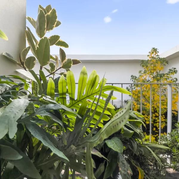 Lunamer Real Estate ApartamentoT1 Estrela Lisboa